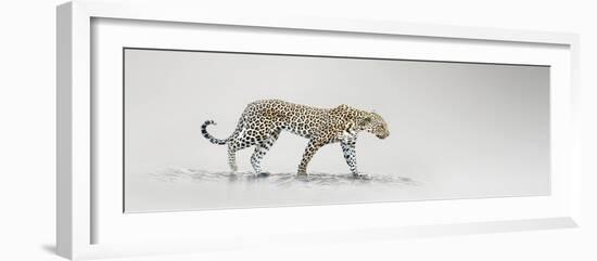 White Leopard-Bobbie Goodrich-Framed Giclee Print