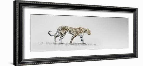 White Leopard-Bobbie Goodrich-Framed Giclee Print