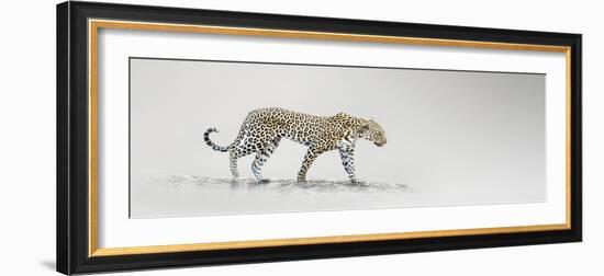 White Leopard-Bobbie Goodrich-Framed Giclee Print