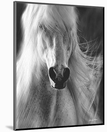 White Lightning-Barry Hart-Mounted Art Print