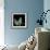White Lilac 9-Magda Indigo-Framed Photographic Print displayed on a wall