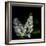 White Lilac 9-Magda Indigo-Framed Photographic Print