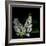 White Lilac 9-Magda Indigo-Framed Photographic Print