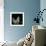 White Lilac 9-Magda Indigo-Framed Photographic Print displayed on a wall