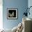 White Lilac 9-Magda Indigo-Framed Photographic Print displayed on a wall