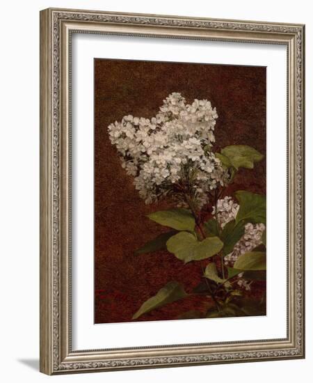 White Lilacs, 1888 (oil on canvas)-Henri Fantin-Latour-Framed Giclee Print