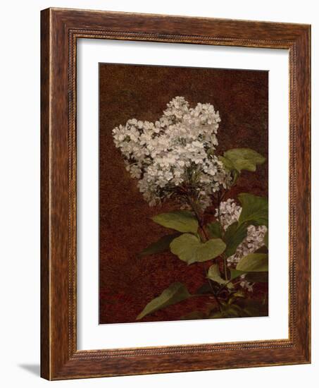 White Lilacs, 1888 (oil on canvas)-Henri Fantin-Latour-Framed Giclee Print