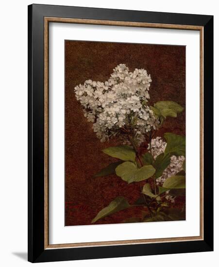 White Lilacs, 1888 (oil on canvas)-Henri Fantin-Latour-Framed Giclee Print