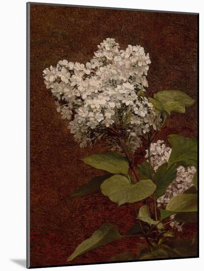 White Lilacs, 1888 (oil on canvas)-Henri Fantin-Latour-Mounted Giclee Print