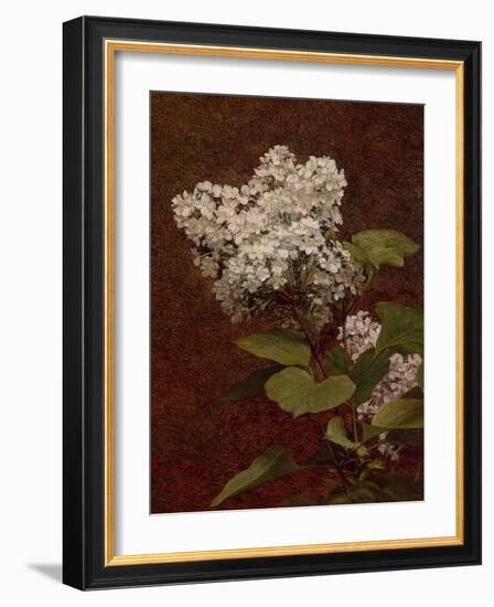 White Lilacs, 1888 (oil on canvas)-Henri Fantin-Latour-Framed Giclee Print