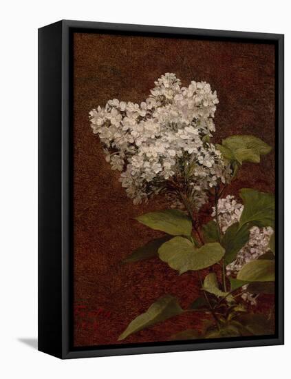 White Lilacs, 1888 (oil on canvas)-Henri Fantin-Latour-Framed Premier Image Canvas