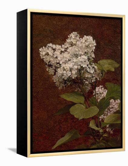 White Lilacs, 1888 (oil on canvas)-Henri Fantin-Latour-Framed Premier Image Canvas
