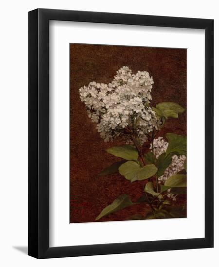 White Lilacs, 1888 (oil on canvas)-Henri Fantin-Latour-Framed Giclee Print