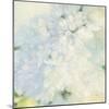 White Lilacs-Julia Purinton-Mounted Art Print