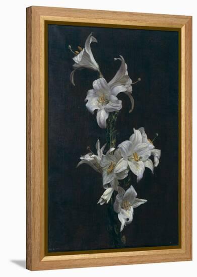 White Lilies, c.1883-Henri Fantin-Latour-Framed Premier Image Canvas