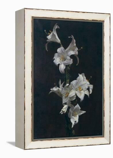 White Lilies, c.1883-Henri Fantin-Latour-Framed Premier Image Canvas