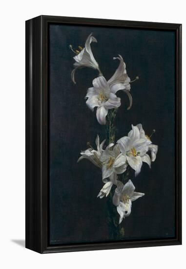 White Lilies, c.1883-Henri Fantin-Latour-Framed Premier Image Canvas