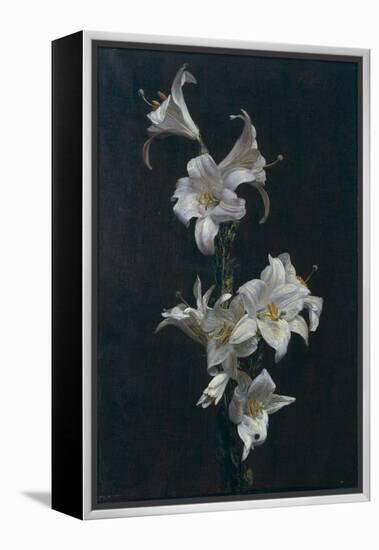 White Lilies, c.1883-Henri Fantin-Latour-Framed Premier Image Canvas