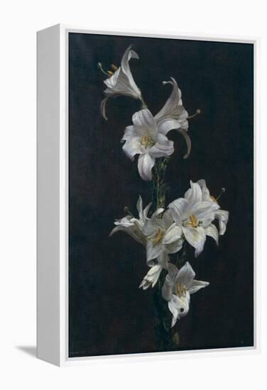 White Lilies, c.1883-Henri Fantin-Latour-Framed Premier Image Canvas