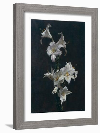 White Lilies, c.1883-Henri Fantin-Latour-Framed Giclee Print