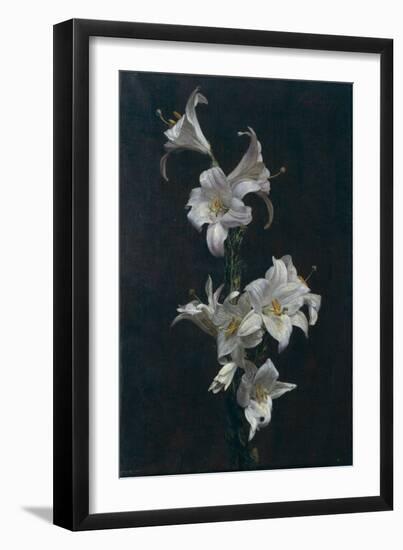 White Lilies, c.1883-Henri Fantin-Latour-Framed Giclee Print