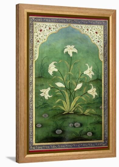 White Lilies-Mark Briscoe-Framed Premier Image Canvas