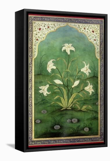 White Lilies-Mark Briscoe-Framed Premier Image Canvas