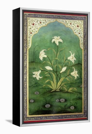 White Lilies-Mark Briscoe-Framed Premier Image Canvas