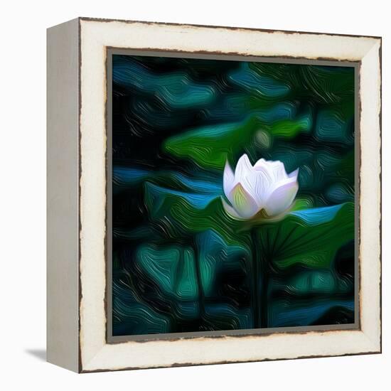 White Lily, 2021, (digital)-Scott J. Davis-Framed Premier Image Canvas