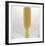 White Lily Abstract No 33-Shams Rasheed-Framed Giclee Print