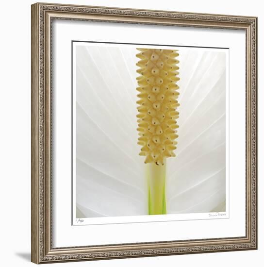 White Lily Abstract No 33-Shams Rasheed-Framed Giclee Print