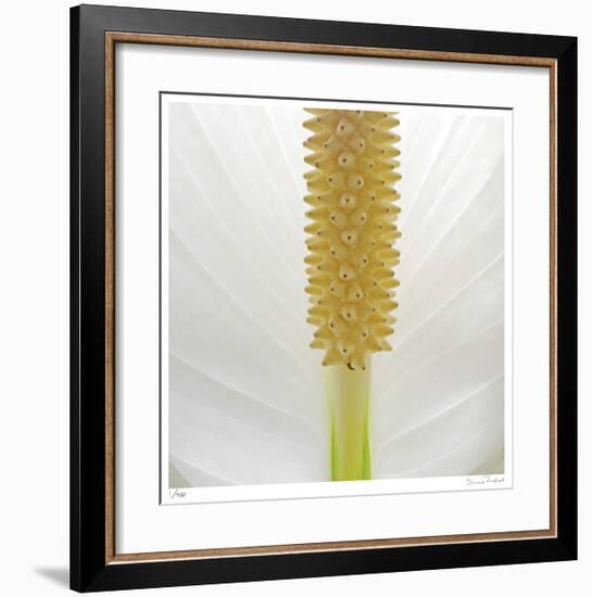 White Lily Abstract No 33-Shams Rasheed-Framed Giclee Print