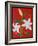 White lily on a red background no.2, 2008-Timothy Nathan Joel-Framed Giclee Print