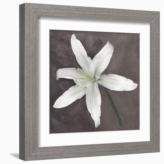 White Lily-Erin Clark-Framed Art Print