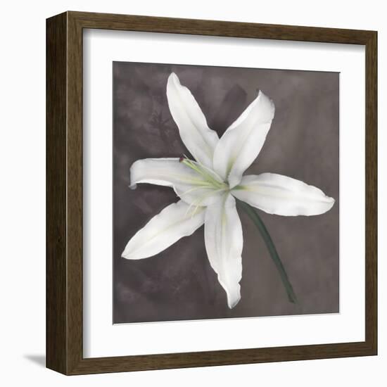 White Lily-Erin Clark-Framed Art Print