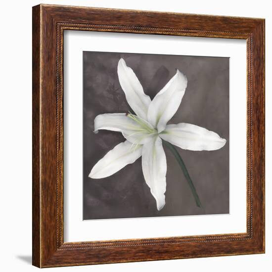 White Lily-Erin Clark-Framed Art Print