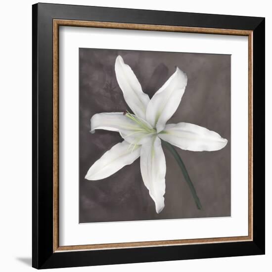 White Lily-Erin Clark-Framed Art Print