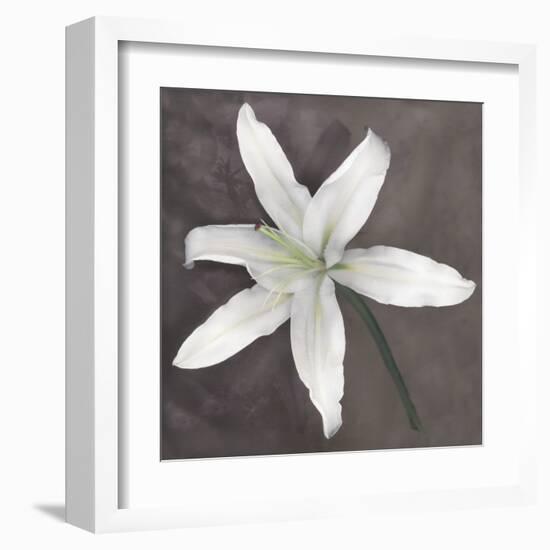 White Lily-Erin Clark-Framed Art Print