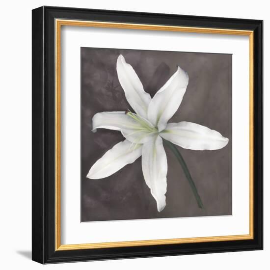 White Lily-Erin Clark-Framed Art Print