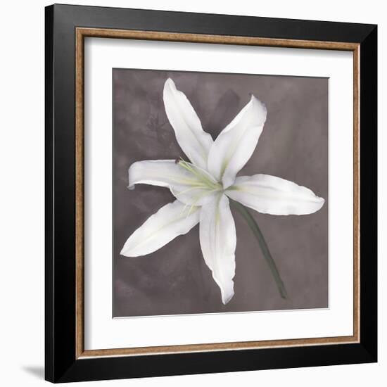 White Lily-Erin Clark-Framed Giclee Print