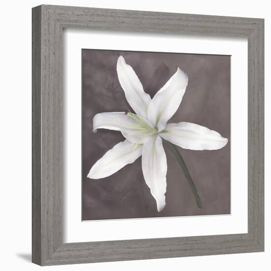 White Lily-Erin Clark-Framed Giclee Print