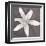 White Lily-Erin Clark-Framed Giclee Print