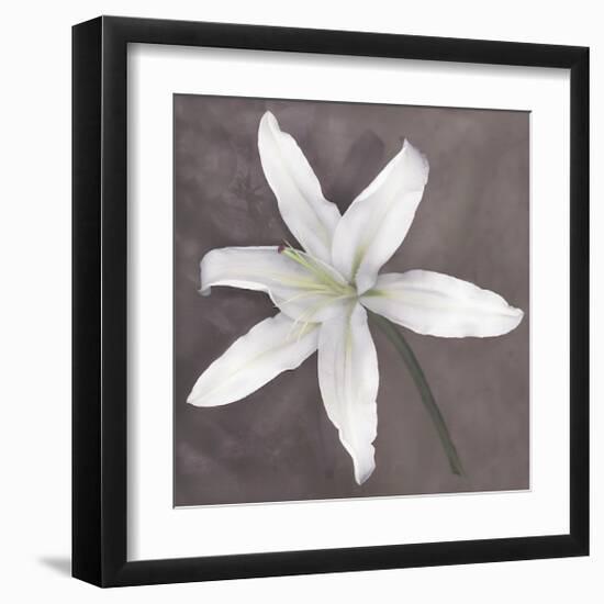 White Lily-Erin Clark-Framed Giclee Print