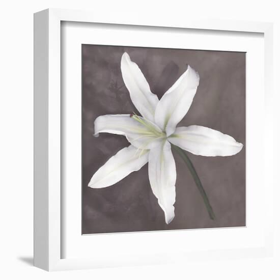 White Lily-Erin Clark-Framed Giclee Print