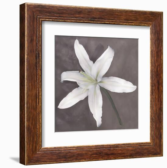 White Lily-Erin Clark-Framed Art Print