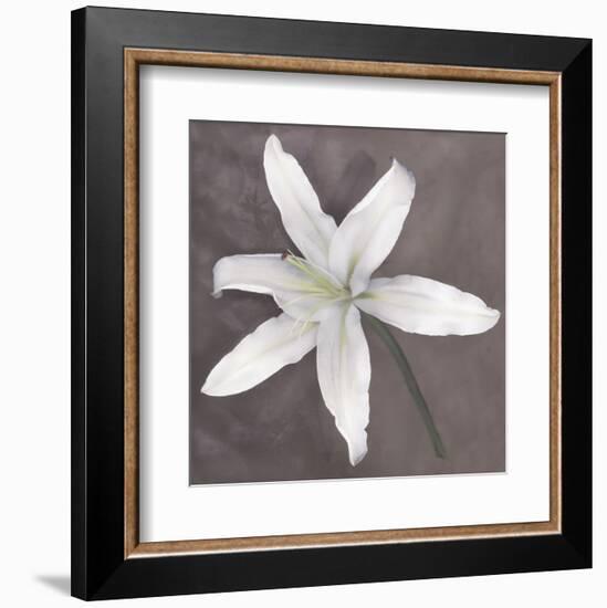 White Lily-Erin Clark-Framed Art Print