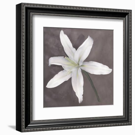 White Lily-Erin Clark-Framed Art Print