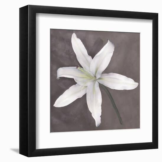 White Lily-Erin Clark-Framed Art Print