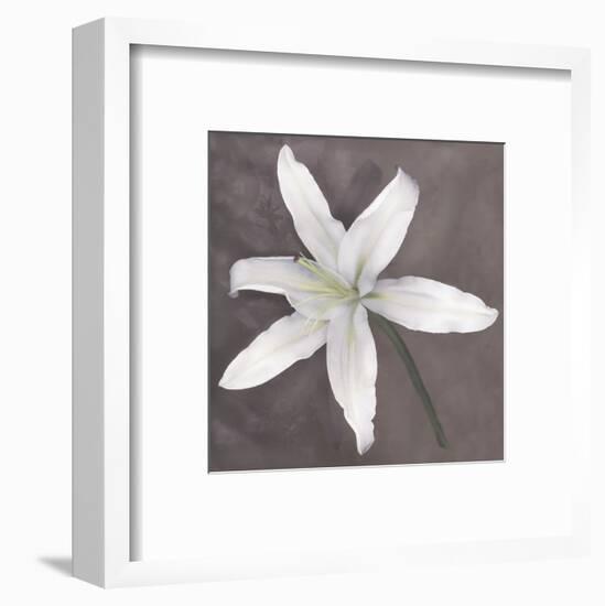 White Lily-Erin Clark-Framed Art Print