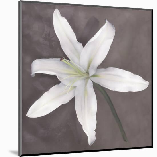 White Lily-Erin Clark-Mounted Art Print